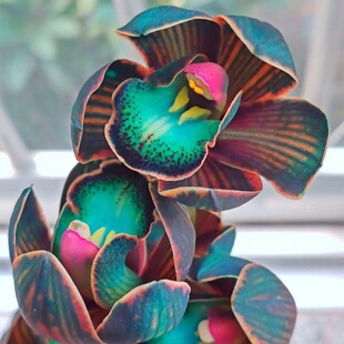 �m����ˮ���m�m����ȫ���_���҃ȿ͏d�������ԑ��˾Gֲ��������