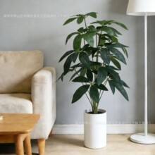 ���l����Gֲ��lؔ�����Կ͏d��С���b[���������ø߼��б���