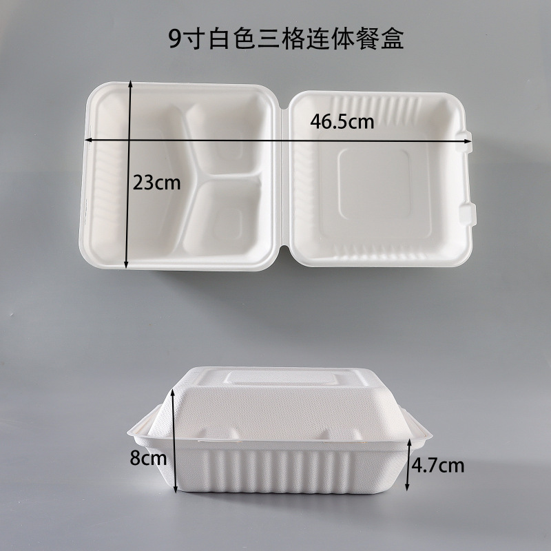 使い捨てパルプ弁当箱サトウキビ連体軽食サラダの出前梱包分格蓋付き分解可能弁当箱|undefined