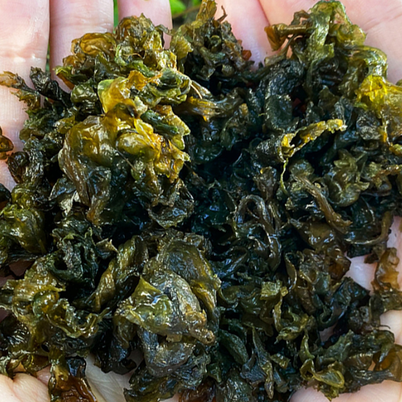 甘肃农家土特产干地衣菜免洗无沙地皮菜特级野生干货地软新鲜云南|undefined