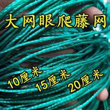 大网眼爬藤网植物攀爬网种植网菊花网百香果网防倒伏虾塘防白鹭
