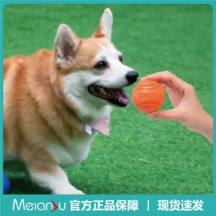 Product Media