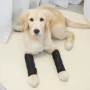 保护金毛关节chongtapet脚套