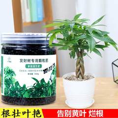 Factory direct sales of money tree special slow-release fertilizer for flower cultivation and flower fertilizer, plant potted flower granule controlled-release fertilizer