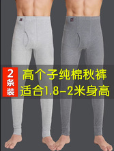 加长版秋裤男棉高个子长腿青年学生薄款秋衣打底保暖裤