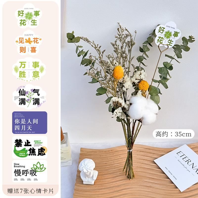 干花花束客厅摆设尤加利叶满天星真花天然风干感装饰堡仕