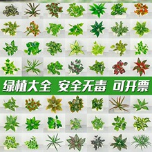 �����~�Ӽٻ����ϻ��bP�����N���~����Ʒ���˔[�P�Gֲ�ֹ�