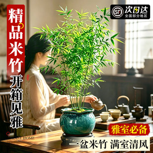 �����辰�������ҿ͏d��Gֲ�Pβ���^�������U����ʽ�ļ�ֲ��