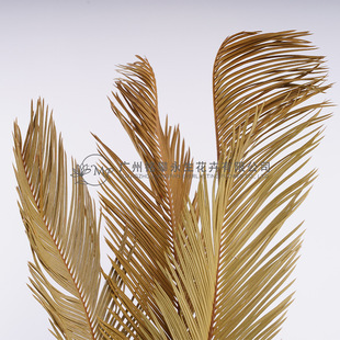 [Iron leaf dried flower] iron leaf iron fan leaf gardening flower decorative bouquet matching material diy dried flower material wholesale