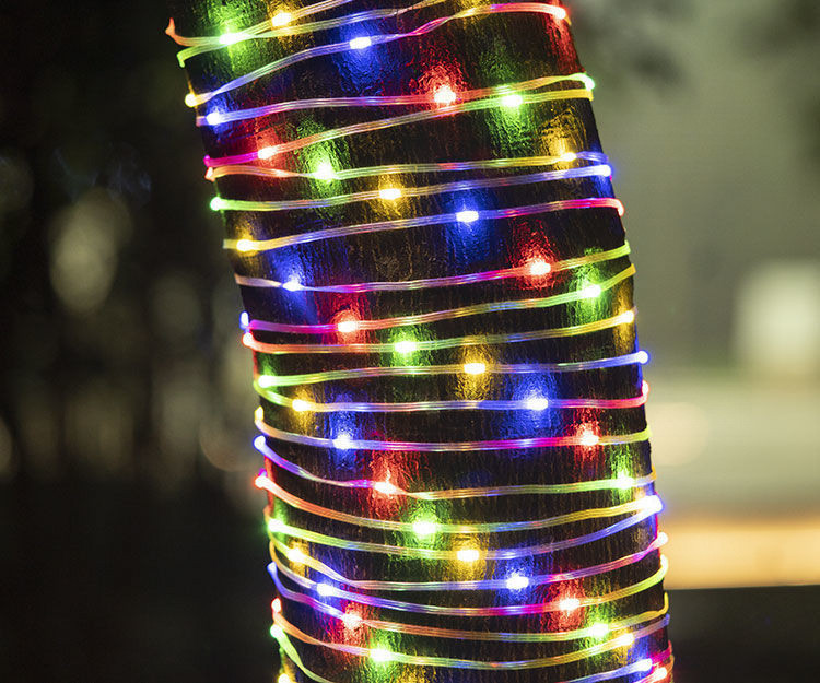 b72e182f-85eb-45a0-bac1-dc18bf1eaae7.jpe