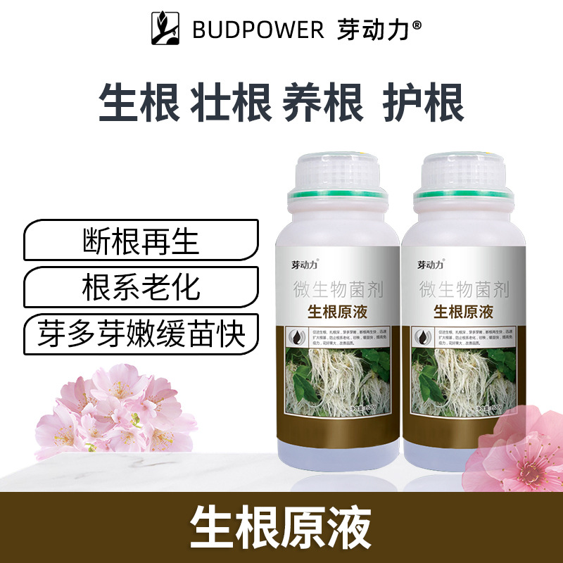 猛生根原液强力生根壮苗剂移栽扦插果树花卉绿萝专用促生根壮根肥