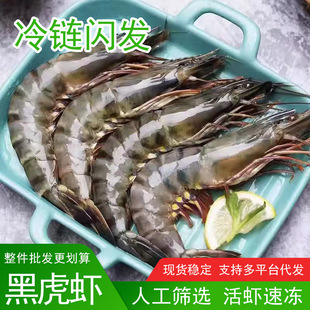 ����ڻ��r���r���r�ϻ��r�r��r�����r�ش��ك����r����Ź��r