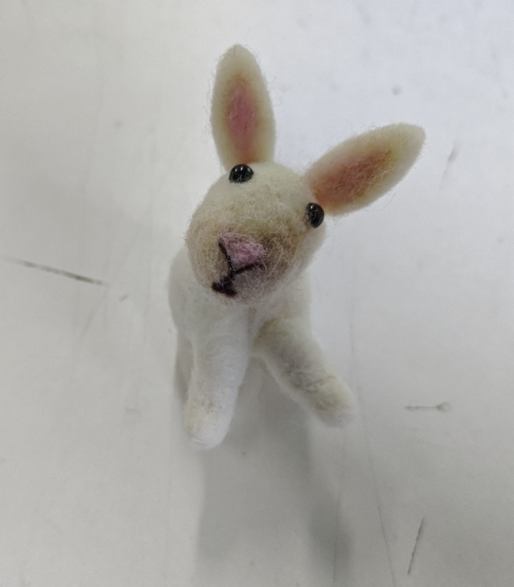 분홍색 귀 토끼