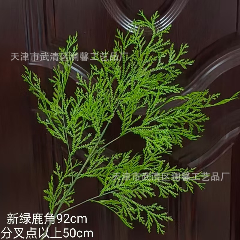 새로운 녹색 뿔