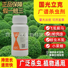 �����������xຸ��ȷ�����������¼����x���x���º��x���x��