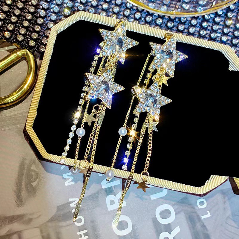 Korean elegant fashionable earrings with tassels