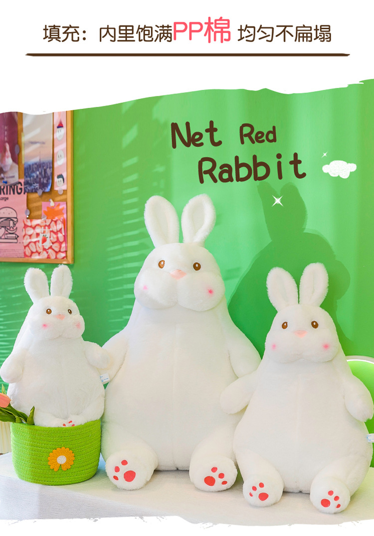 网红慵懒大白兔_06.jpg