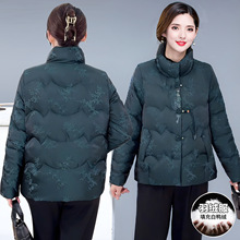 2025�����¿�������̿���q��Ů�r��������|���ŋ����b���I����