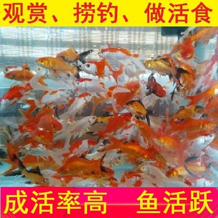 �^�p�~���wС���~С�t�ݽ��~�絭ˮ��ˮ�~����~���~�t�a�~�\�a�~