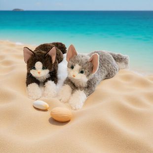 �¿�ɐ۵���؈����ſſ؈����żë�q��߃�ͯ˯�X������Ů���Y��