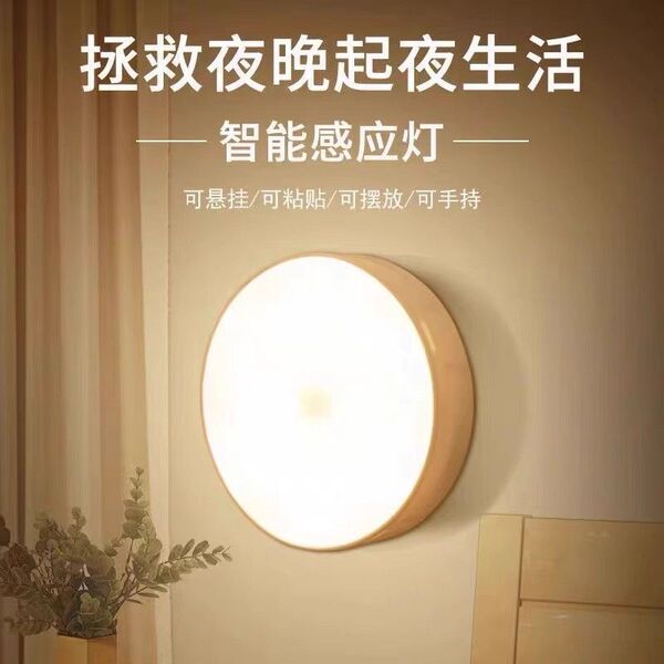 Human body induction lights