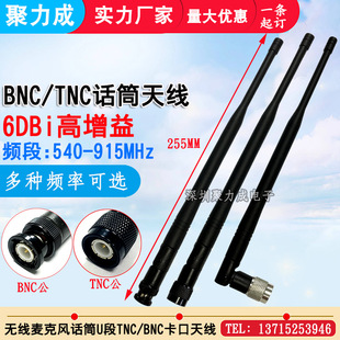 U segment wireless microphone microphone antenna TNC male BNC male bayonet antenna receiver host glue stick antenna