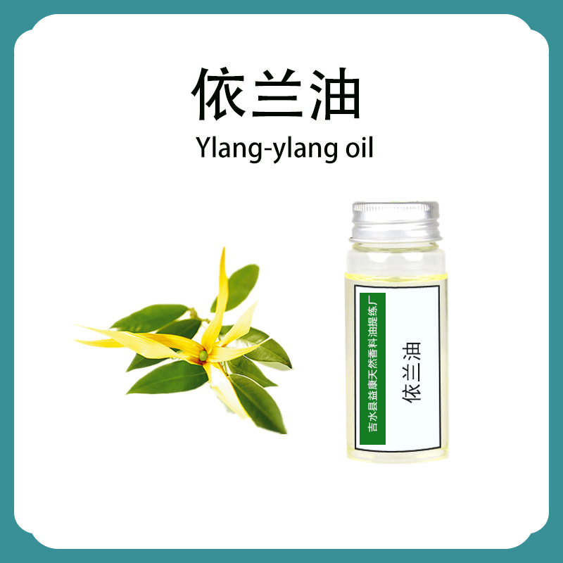 依兰精油植物单方精油护肤按摩香薰日化原料 依兰油厂家批发