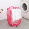 Square rose red