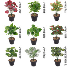 ����ֲ����� �����~�O���~�ع��~����Gֲ���������b[���廨