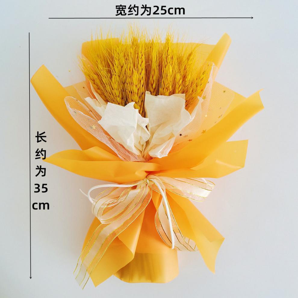 56778853-de27-494e-b856-8dcef6a3671b.jpe