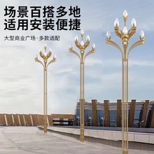 户外广场景观市政工程8米10米道路照明中华灯led大型照明灯路灯杆