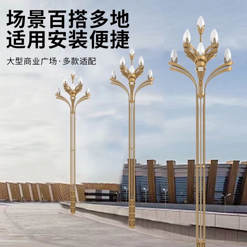 户外广场景观市政工程8米10米道路照明中华灯led大型照明灯路灯杆