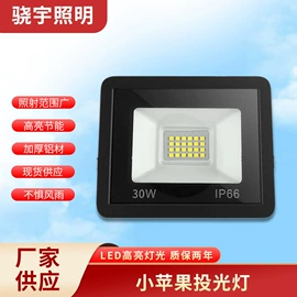 投光灯;工矿灯;路灯