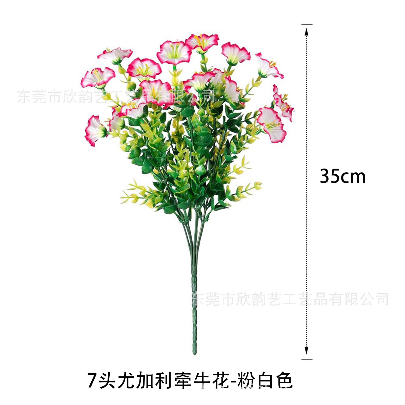 분홍색과 흰색 가장자리