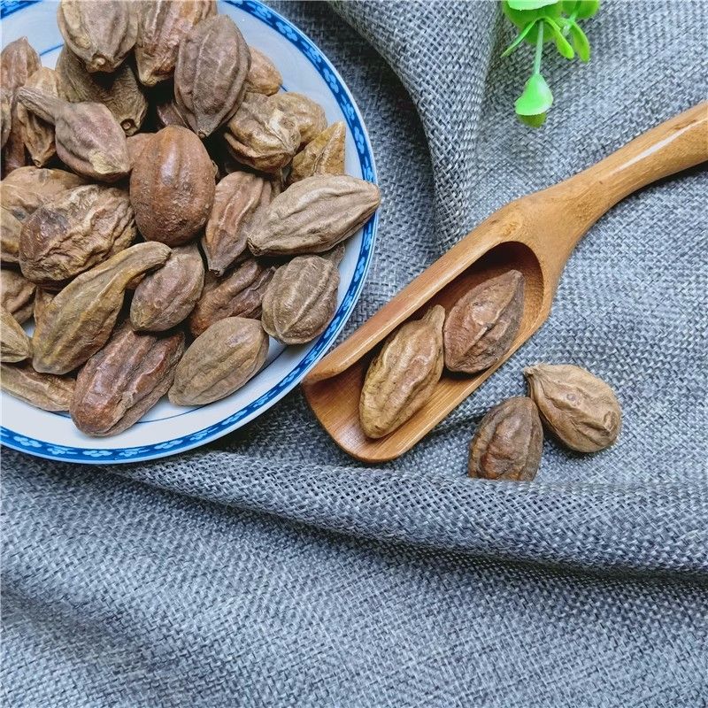 Chebula Fruit He Zi 500g Dried Terminalia Chebula Slices Traditional Chinese Herb for Decoction and Tea key features