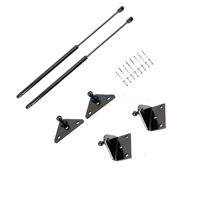 gas spring Tacoma cover: Avtomobil qapağı dayağı