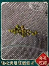 ?�Y�ӺY�W�A�μ����F�z�Ӻ�Yɳ�����׺Y�@ˇ�Y���^�V�W�@֥���