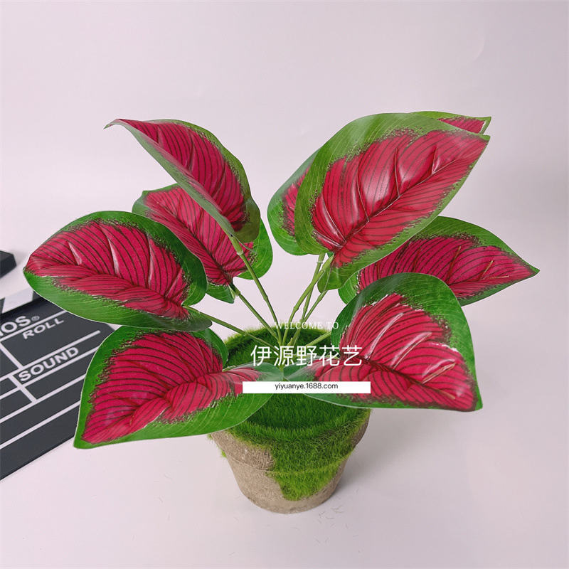 厂家直销仿真植物盆栽叶子9头万年青假红色酒店楼盘餐厅装饰