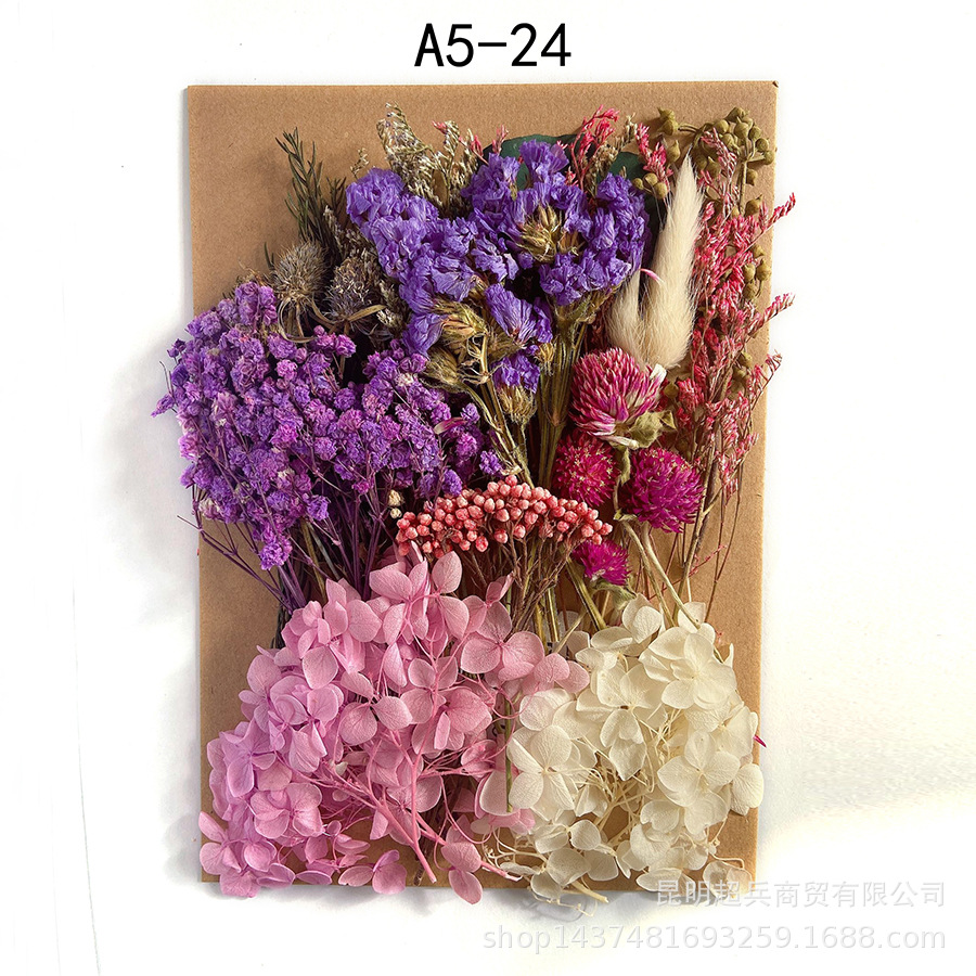[Paquete de material de estampado A5] Flor seca flor eterna marco de fotos paquete de material de estampado DIY flor aromaterapia vela flor seca
