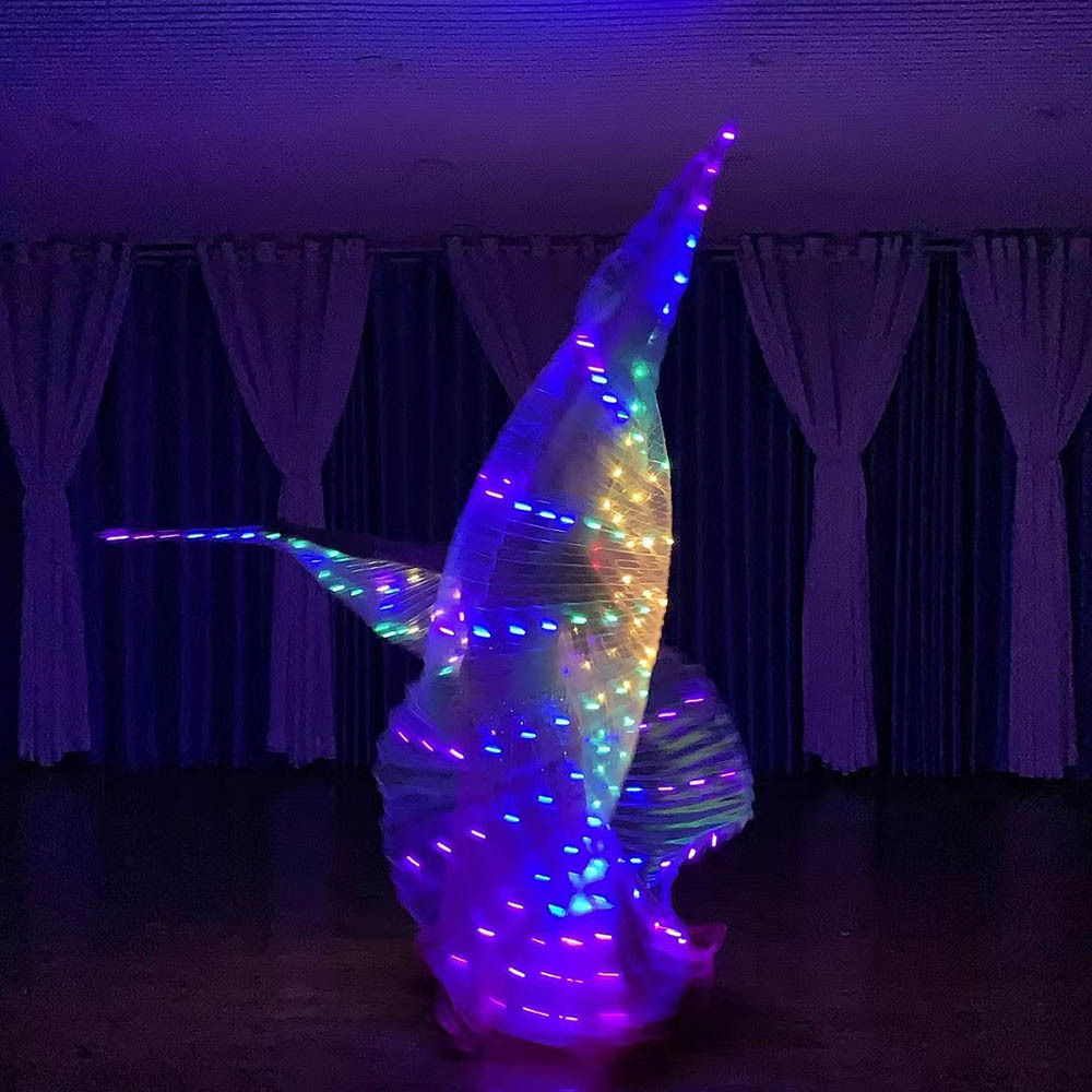 Dance Rhythm Factory LED Lighting Wings Golden Wing Dance Prop Performance with Five Color LED Glowing Cloak