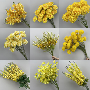 ���Sɫ���滨����c����b��Ļ�Y��·�������Z�S�ٻ����T�廨