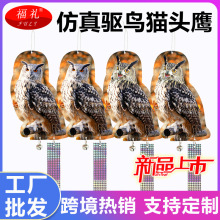 �羳���l�@����B����3D���w������B؈�^���p���D�� ���@���B��