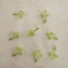 3�����ȼ�����������������ֲ��DIY���滨���С�ȼ����~�����l