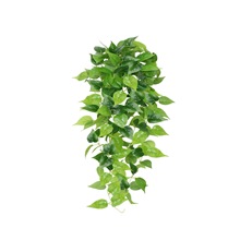 ����G�}�͏d�젝�Gֲ�ڒ�ֲ���b����ٻ��ٗl�҃��������m���@