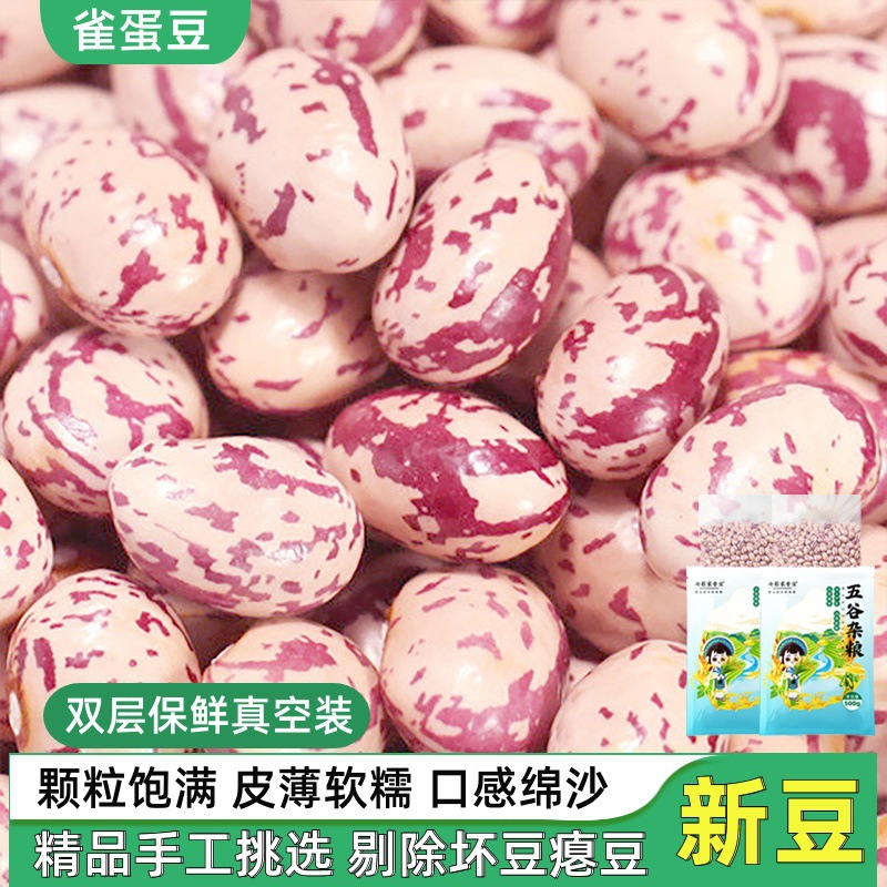 云南雀蛋豆奶花芸豆新货5斤新鲜四季豆米麻雀豆饭豆子花生云豆类