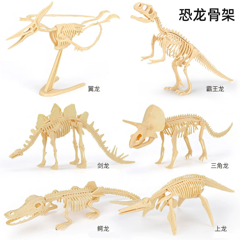 Детские археологические скелеты динозавров большой гипс раскопки собранных животных окаменелости модели T. rex игрушки оптом