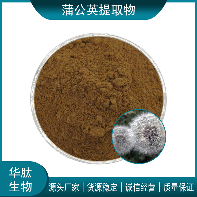 蒲公英提取物 10:1 20:1 30:1 水溶蒲公英粉 蒲公英黄酮 药食同源