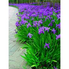 SβͥԺ·GرֲmԺm{m