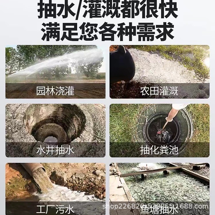 Pequeña bomba de agua agrícola bomba de corte bomba de aguas residuales bomba sumergible doméstica bomba de alta elevación 220V bomba de riego