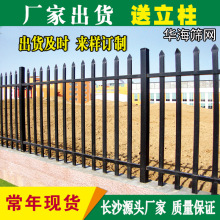 [�S��]ͥԺ�@���\��o�ڌWУ���x�o���\�Ͻ�����̨�o��